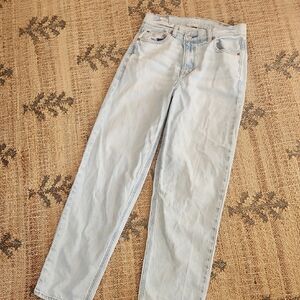 AE Strigid Mom Jeans in Blue Breeze